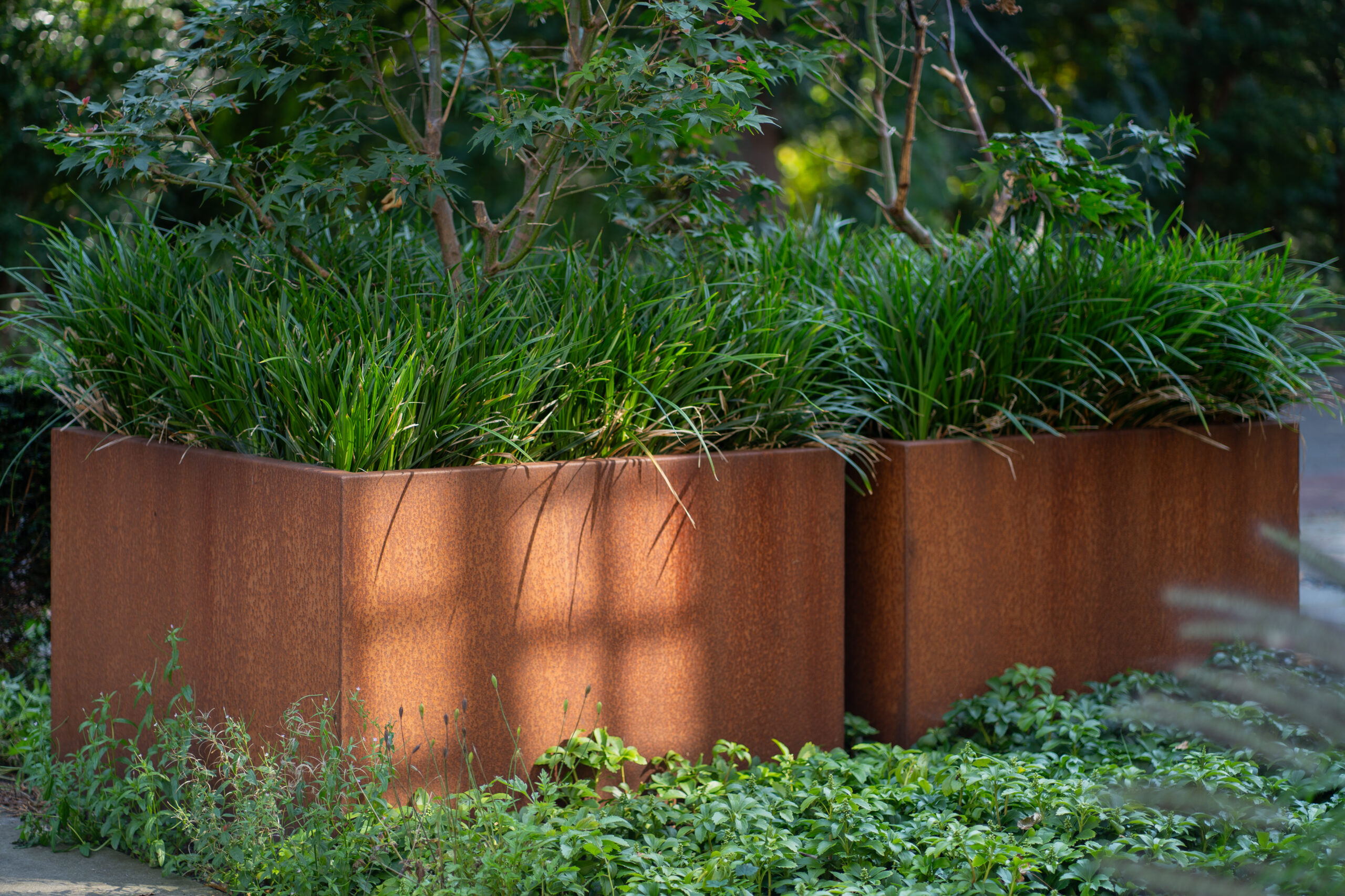 Plantenbak Verde - Afbeelding 9